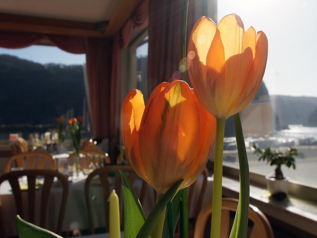 Hotel Cafe Restaurant Loreleyblick Sankt Goar Exterior photo